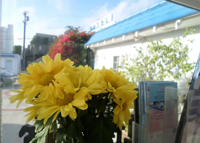 Rest Haven Motel